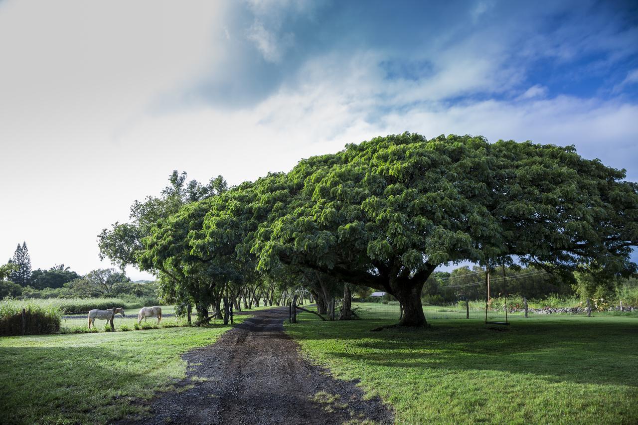 Puakea Ranch Hotel Hawi Bagian luar foto