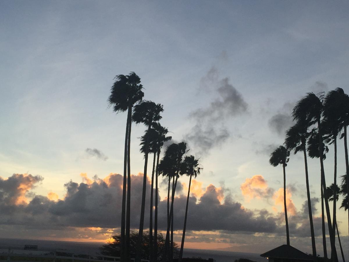 Puakea Ranch Hotel Hawi Bagian luar foto